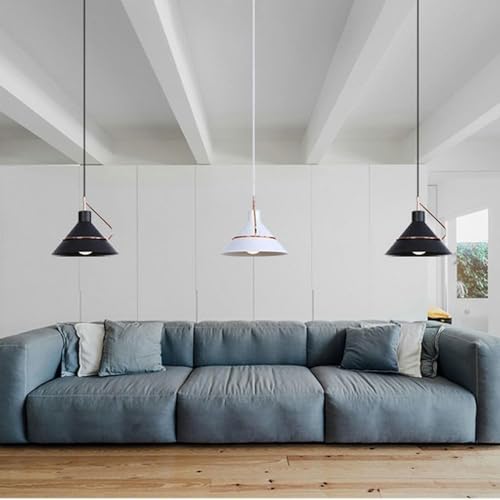 Lampe à pente pot industriel éclairage pour plafond incliné - 7