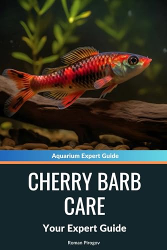 Cherry Barb Care: A Complete Guide