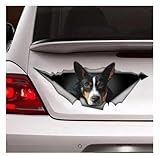 GAETOYEN Autocollant De Voiture Chien 20Cm Rat Terrier Autocollant De Voiture, Rat Terrier Sticker, Autocollant Chien, Sticker Voiture, Sticker Drôle, Sticker pour Ordinateur Portable, Autoco
