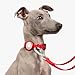 BuddyArmor Pet Holder for Airtag Collar - Secure Fit for Apple Airtag Case for Cat Dog Collars, No Dangling, Lightweight Anodized Aluminium for Airtag Holder for 0.4/0.6 inch Collar (Blush Pink, M)