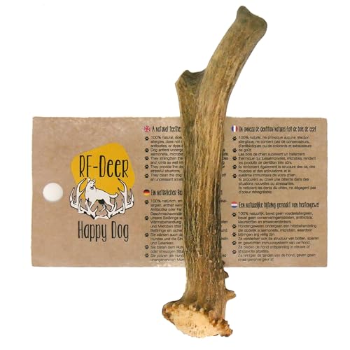 RF - Deer Corno di Capra per Cani 100% Naturale Osso di Capra per Cani Masticativi Naturali, Giochi e Snack Bocconcino per Cane Taglia S HARD Version 20-60 g 7-13 cm 1 pezzo