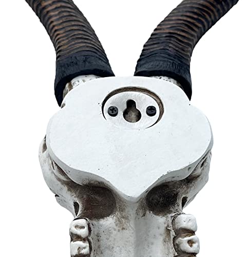 Calavera de Antílope Kudu Africano 14.5 pulg Top Brass miniatura 3