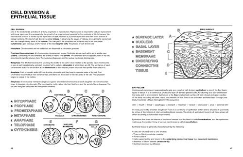 The Human Body Coloring Book: From Cells to Systems and Beyond (Coloring Concepts) - Image 2
