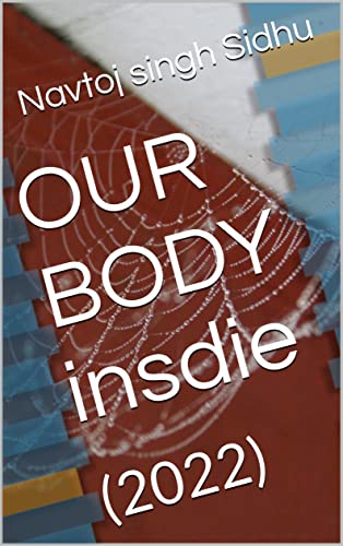 OUR BODY insdie: (2022)