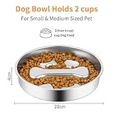 Evadollina Anti Schling Napf Hund, 22cm Edelstahl Antischlingnapf Hunde, Fressnapf Hund, Hundenapf Grosse, Futternapf Katze, Hundenapf, Slow Feeder, Für Hunde Und Katzen