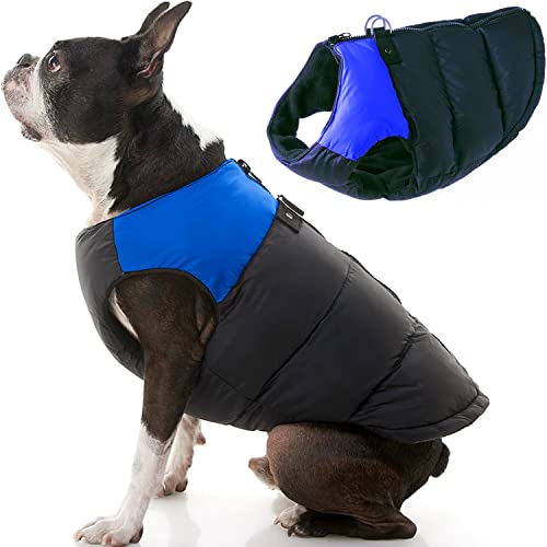 12 Best Winter Dog Coats \u0026 Jackets 
