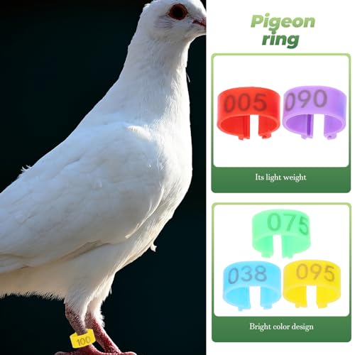 POPETPOP 100 Peças Anéis De Perna De Pombos De Pássaros - 16Mm Coloridos Legíveis E Numerados De Ide
