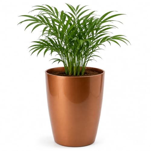 Image of Leafy Tales Modern Round Tower Planter for Home Decor 12 INCH, Highly Durable,Lightweight Indoor Outdoor Planter, Flower Pot Gamla, Pot for Balcony Garden, Vegetables, Flowers & Greenery