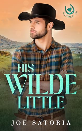 His Wilde Little: An MM Cowboy Daddy Romance