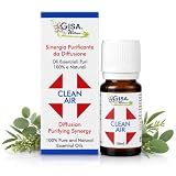 Sinergia Oli Essenziali Clean Air 10ml Purificante Naturale