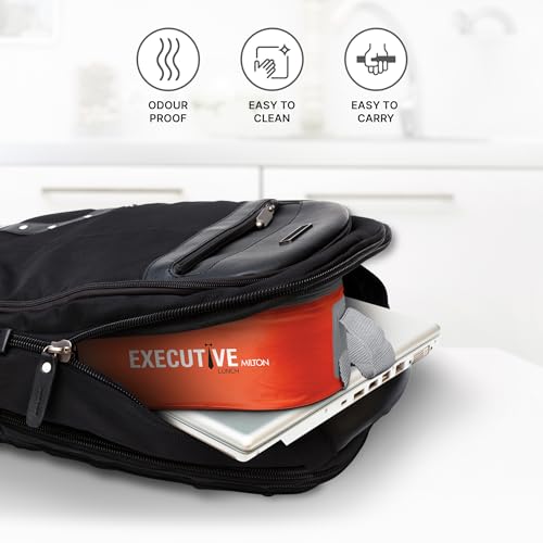 Milton Lunch Box for Adult with Bag, Fork and Spoon, Stainless Steel Food Containers with Lids, Bento Box for Kids, Leak Proof Tiffin for Salad, Food Storage, Orange