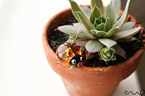 REDCHOCOL8 vetro coccinelle arancio lucido Deco