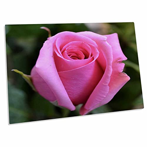 3dRose Patricia Sanders Flowers - Mouse Pad Grande