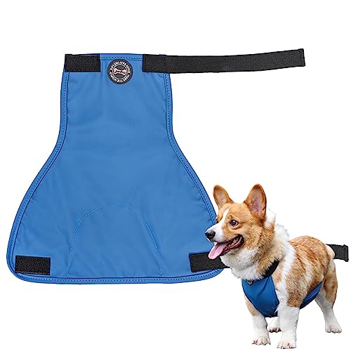 Barriga Cachorro | Filhote cachorro Cueca Masculino - Envoltórios cachorro macho com couro macio e m