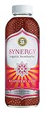 GT'S ENLIGHTENED KOMBUCHA Synergy Organic Kombucha Tea, Raspberry Chia, 16.2 Ounce (Pack of 12)