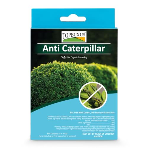 TOPBUXUS Boxwood Anti Caterpillar (BTK) - Organic Control for Box Tree Moth - Covers 2 150 sq ft of Boxwood Foliage