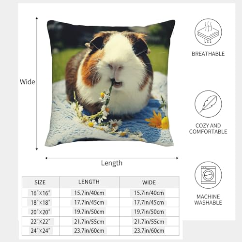 Coussin cochon d'inde lavable pour chambre d'enfant propre - 5
