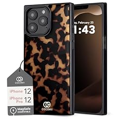 Chestnut Tortoiseshell