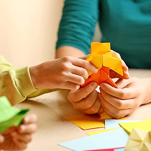 Amazon Basics Origami Paper, Double Sided Color, Assorted Colors #TOP5