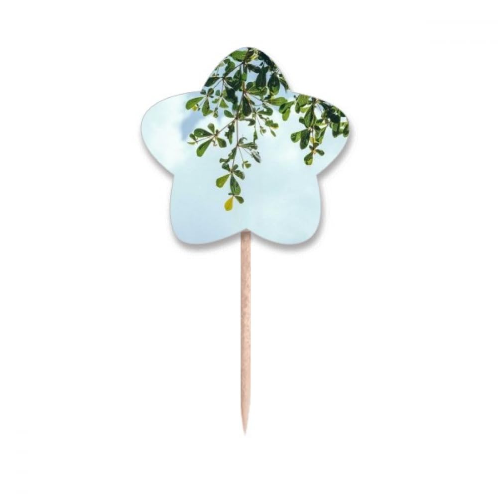 Cure-dents tendance Bleu Ciel Étoile pour éviter les buffets ternes et banals