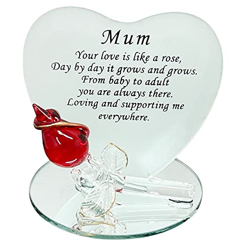 Plaque en verre cadeau pour maman, maman, anniversaire, fête des mères, Noël Cover