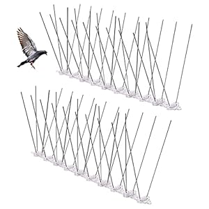 Afschrikmiddel voor duiven Vogel Spikes voor Duiven Anti Klim Muur Hek Vogels Controle Spikes Roestvrij Staal Anti-klimmen Spikes Gebruikt voor Daken Muren Repelling Vogels en Katten 25cm 2 Stuk