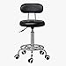 Produktbild Stühle FEI Bequem Barhubstuhl Beautician Friseur Labordrehstuhl Drehbarer Sofa Hocker (Farbe optional) Stark und langlebig (Farbe : 1)