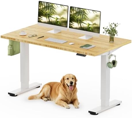FlexiSpot EN1 Bamboo Standing Desk 55x28"