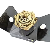 MUNDO ETERNO ROSMELIA Dorada 12CM PRESERVADA