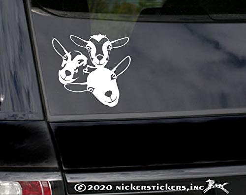 Nigerian Dwarf Goats | Nickerstickers® Vinyl Window Decal Sticker #TOP1