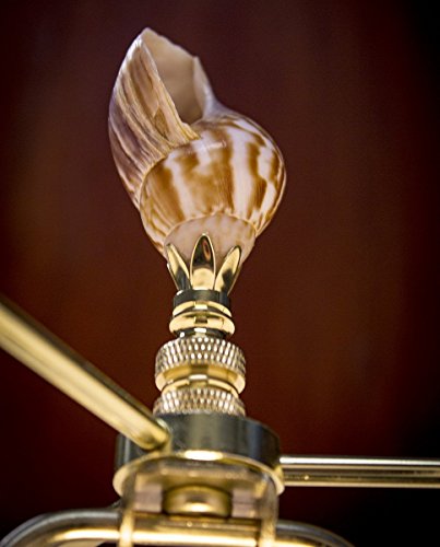 Image of Snail Sea Shell Lamp Finial with Polished Brass Base 3.25 inch h