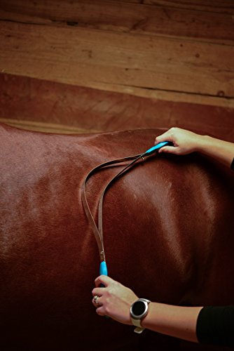 Wahl Professional Animal Equine Metal Horse Grooming Shedding Blade, Turquoise (#858711-100) #TOP2