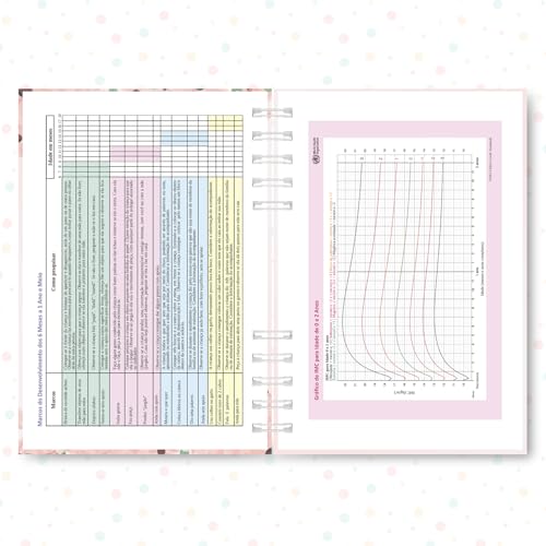 Caderneta de Saúde da Criança, Caderno de Vacinação, Alfabeto Floral Rosa, 118 Páginas, 21,5 x 15,5