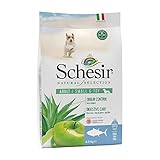 Schesir natural selection: un alimento completo, naturale e perfettamente bilanciato appartenente alla linea secco, che risponde alle esigenze dei cani adulti di taglia piccola e toy