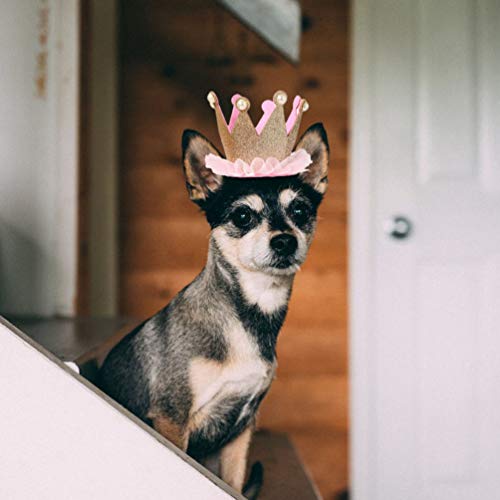 ULTECHNOVO 2Pcs Pet Coroa De Aniversário Chapéu Do Aniversário Chapéu E Bandana Do Cão Filhote de Ca