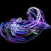 The Hoop Shop Light Up LED Hula Hoop Designed and Hand Crafted in Michigan with Beautiful Auto Strobing Rainbow Lights