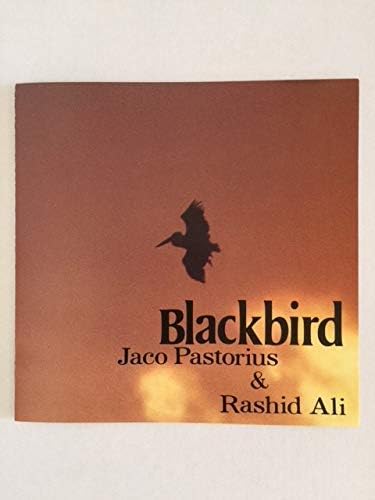 RASHID ALI RASHIED ALI JACO PASTORIUS - Blackbird - CD