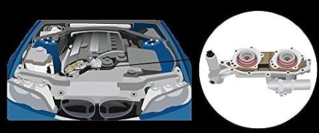 X8r Repair Kit For Double Twin Dual Vanos Unit Viton Ptfe Seals Upgrade Rebuild Kit Applicable To Bmw M52tu M54 M56 6 Cylinder Engines Part X8r28