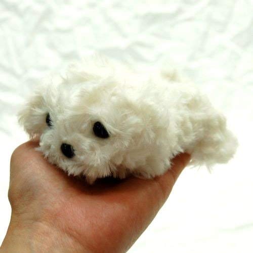 マルチーズの赤ちゃんぬいぐるみ Amazon.co.jp: Little Beans マルチーズ ぬいぐるみ 13cm : おもちゃ