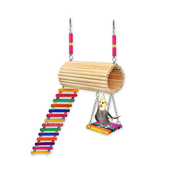 Golden Pets Brinquedo Playground Twister Hamster Calopsita Periquito