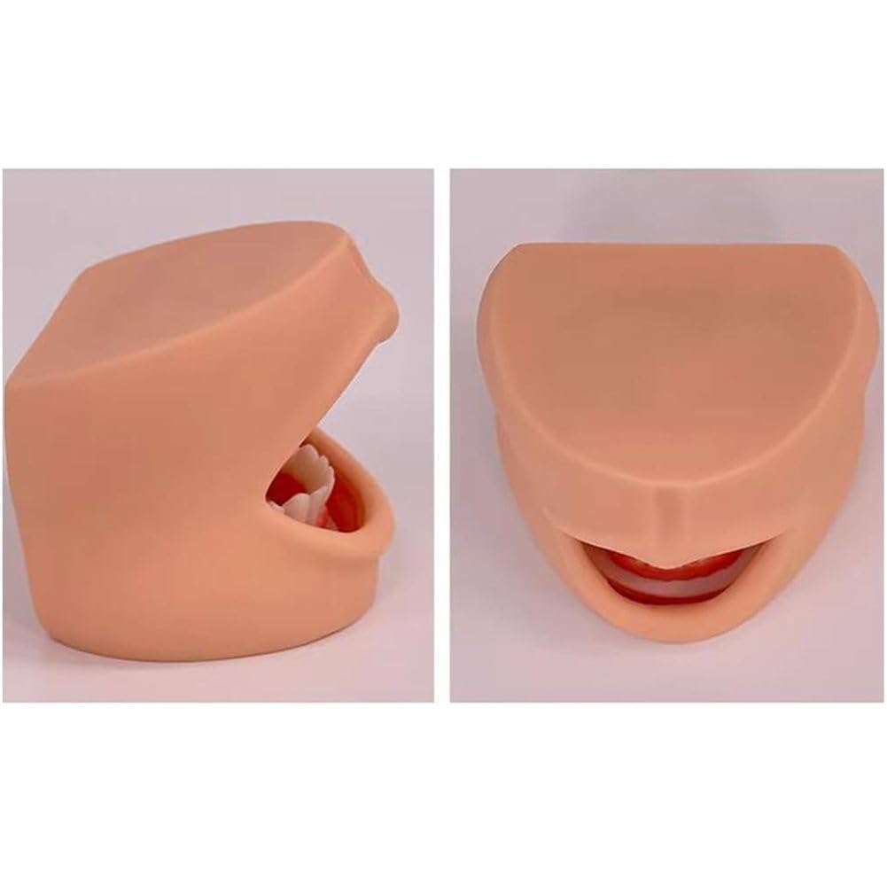 Modello di cura dentale per denti e lingua, strumento didattico per la salute dentale delle guance, modello dimostrativo per l'educazione all'igiene orale