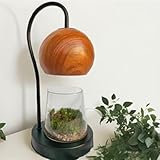 Wood Grain Terrarium Kit with LED Light