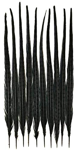 American Feathers Ringneck Pheasant Tail Feathers 22-24  Dyed Colors (Black)