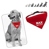 Para perros pequeños-medianos o grandes. Ajustable de 38 cm a 50 cm.