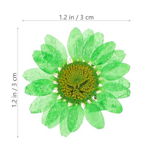 60 flores secas naturales prensadas para manualidades miniatura 7