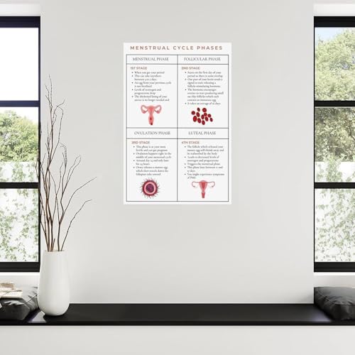 Tableau Hormone Rhythm Chart encadré de qualité supérieure 20x30cm - 4