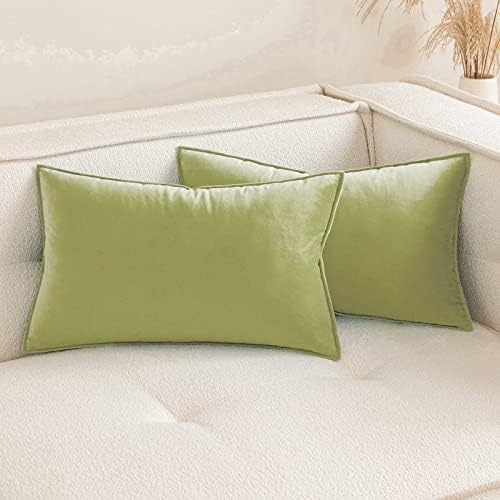 MIULEE Pack of 2 Velvet Soft Decorative Square Throw Pillow Case Flanges Cushion Covers Pillowcases for Livingroom Sofa Bedroom with Invisible Zipper 40cm x 40cm 16x16 Inch Set of Two Rose