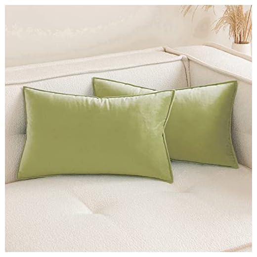 MIULEE Funda de Cojines para Sofá Funda de Almohadas de Terciopelo Suave Almohada Decorativa Moderna Funda Cojin para Sala de Estar Cama Silla Dormitorio 2 Piezas 30x50 cm Verde Oliva Claro