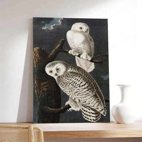 Hiboux des neiges Audubon idee cadeau originale deco chambre