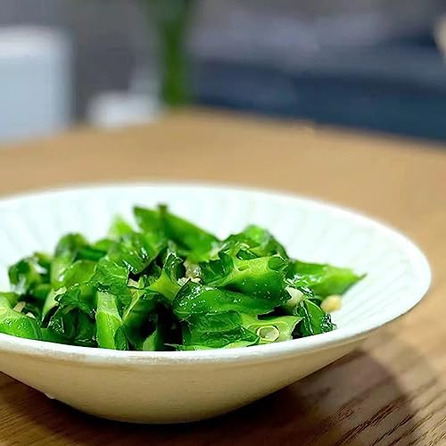 100+ Winged Bean Seeds Four Angled Bean Manila Bean King Shire Winged Bean Dragon Bean Vine Home Gardening Seeds Vegetable Seed